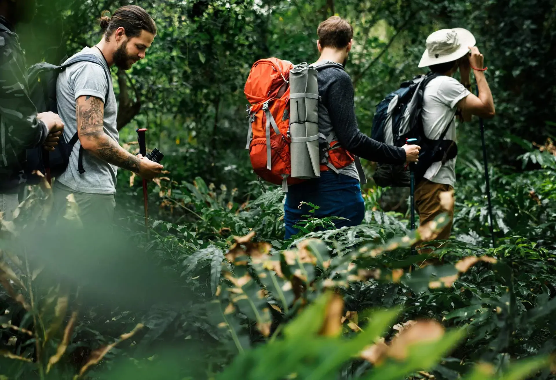 Trekking in a forest; Shutterstock ID 1046364730; purchase_order: ; job: ; client: ; other: