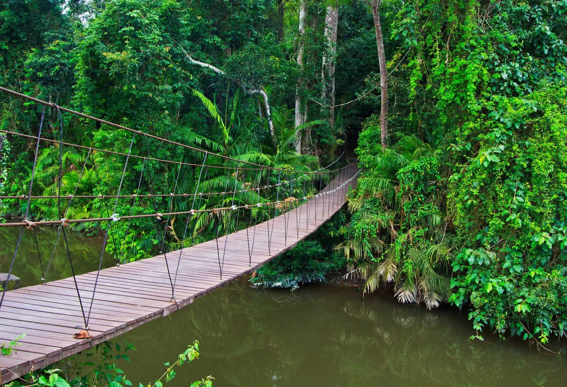 DEST_THAILAND_KHAO YAI_GettyImages-187643793