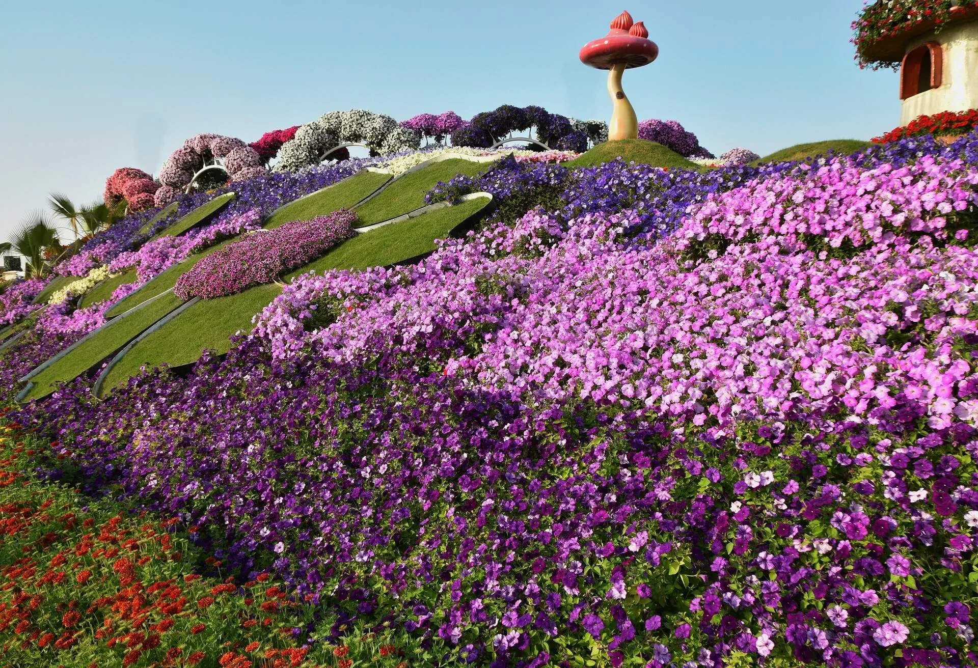 Flowers Matt at the Dubai Miracle garden,Dubai, UAE