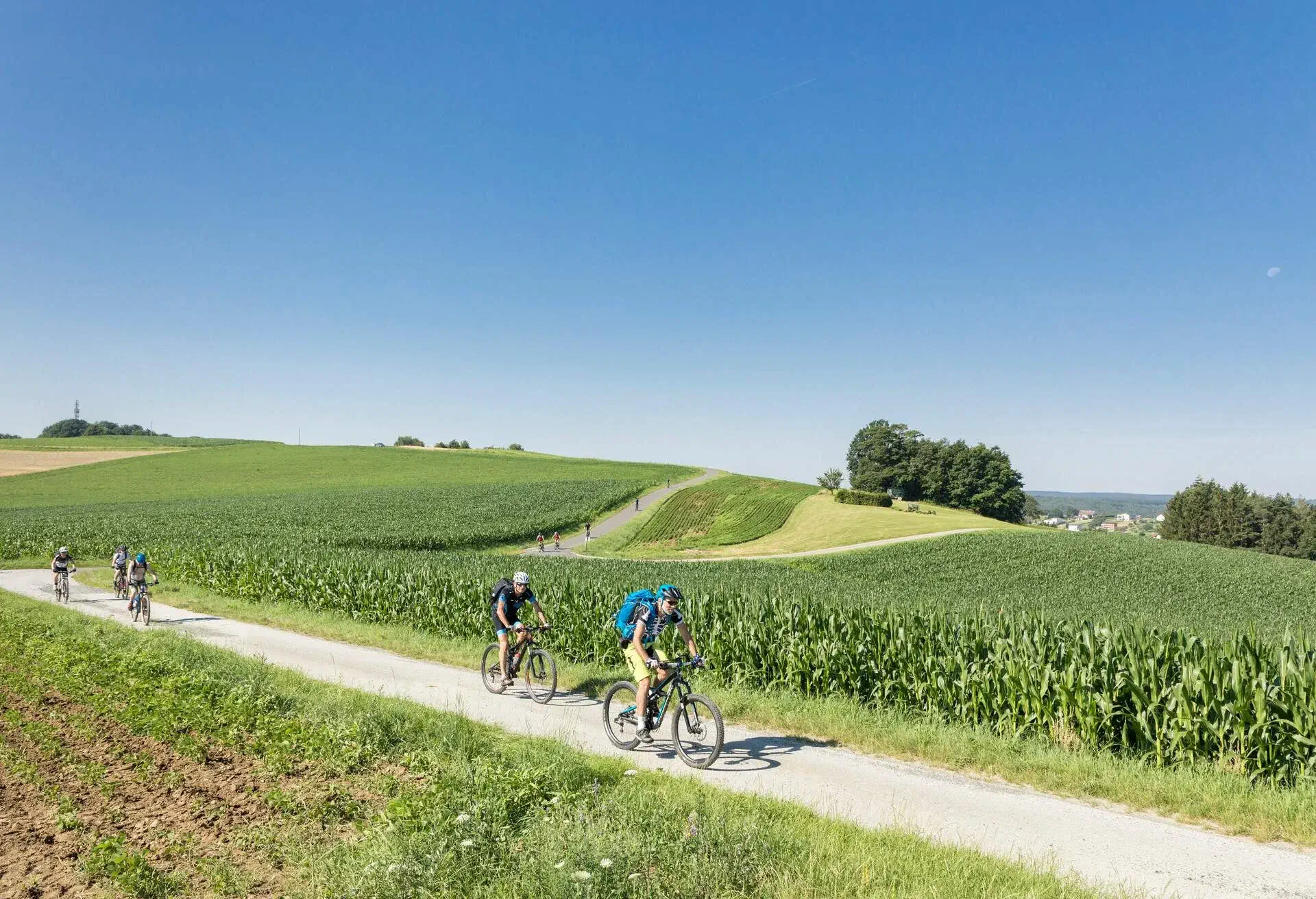 A group of mountainbikers ist cycling over the roling hills in an area of Lower Austria and Burgenland called