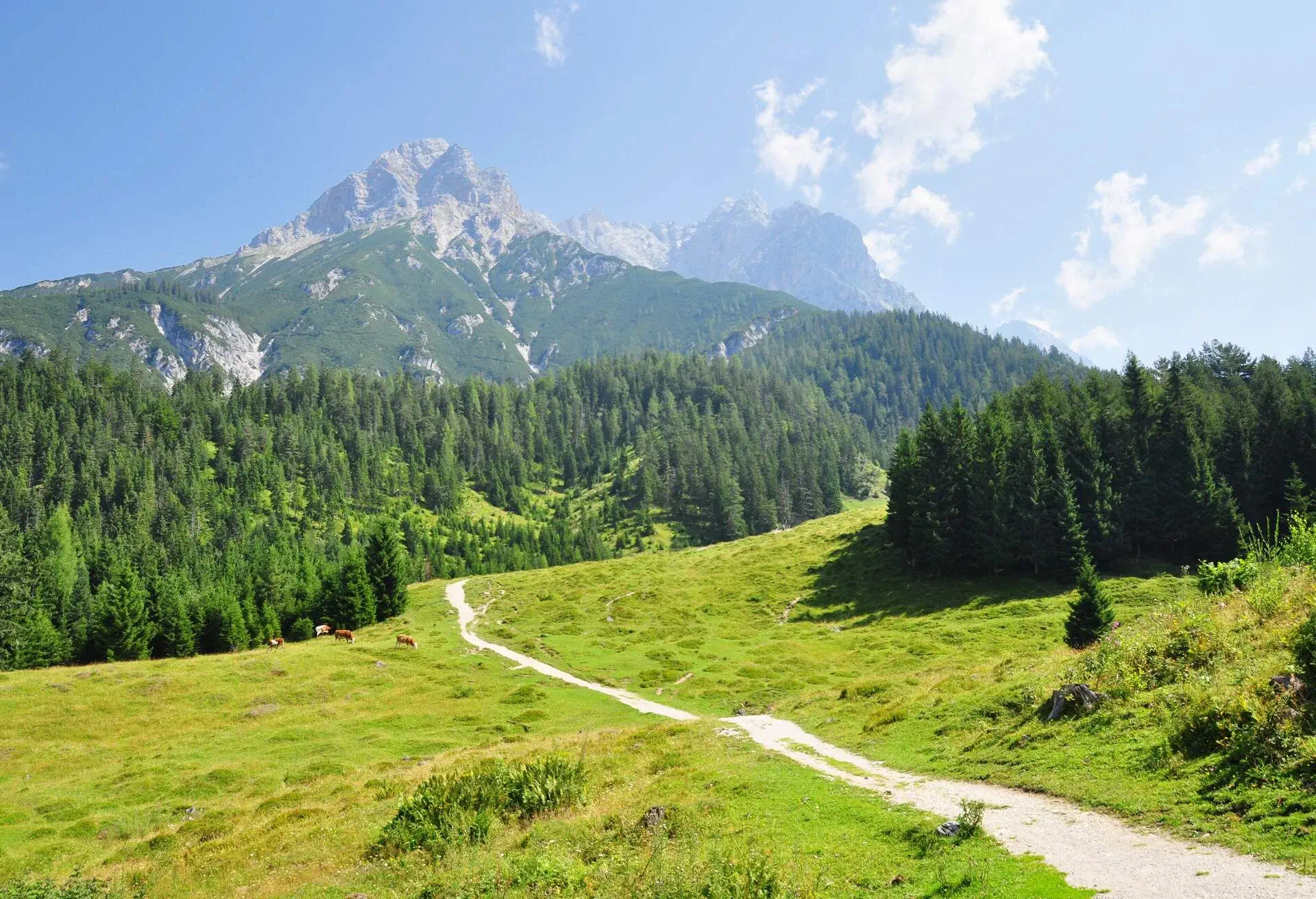 mountain panorama of Steinernes Meer, at Saalfelden, Pinzgau, Salzburg, Austria