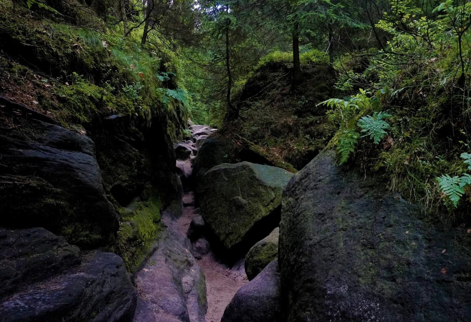 Narrow path through the Wilde Hoelle in Saxon Switzerland, Germany