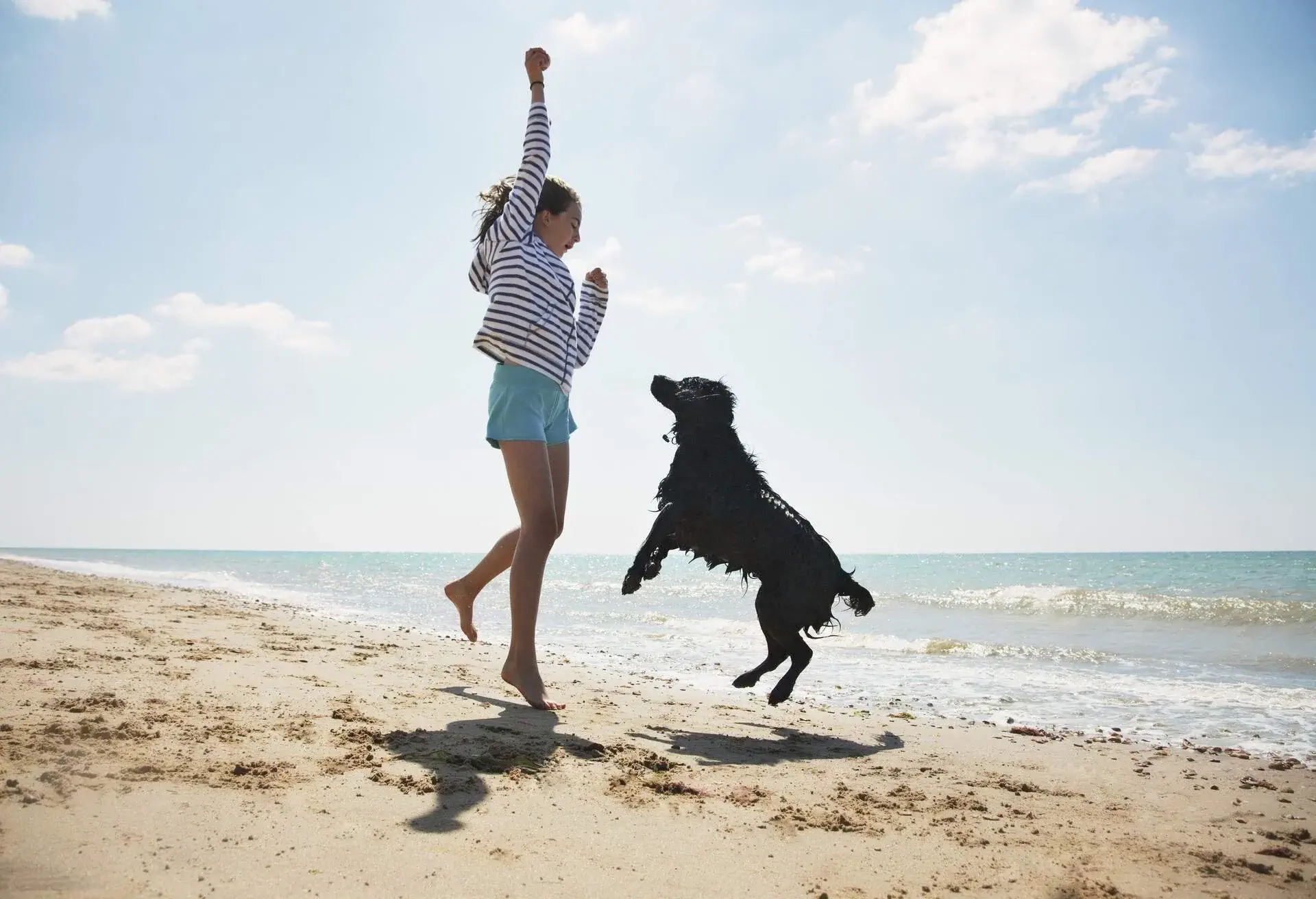 theme_bech_pets_dog_people_gettyimages