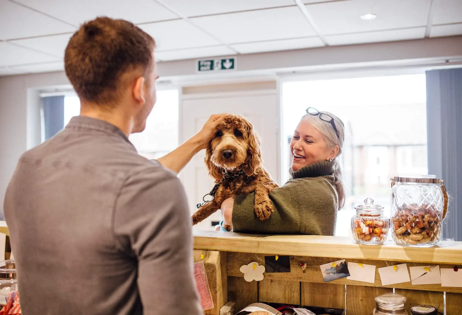 Woman is holding her dog at the reception counter of the grooming salon. She is booking her dog in to be groomed. There is a man working on reception and he is stroking the dog.