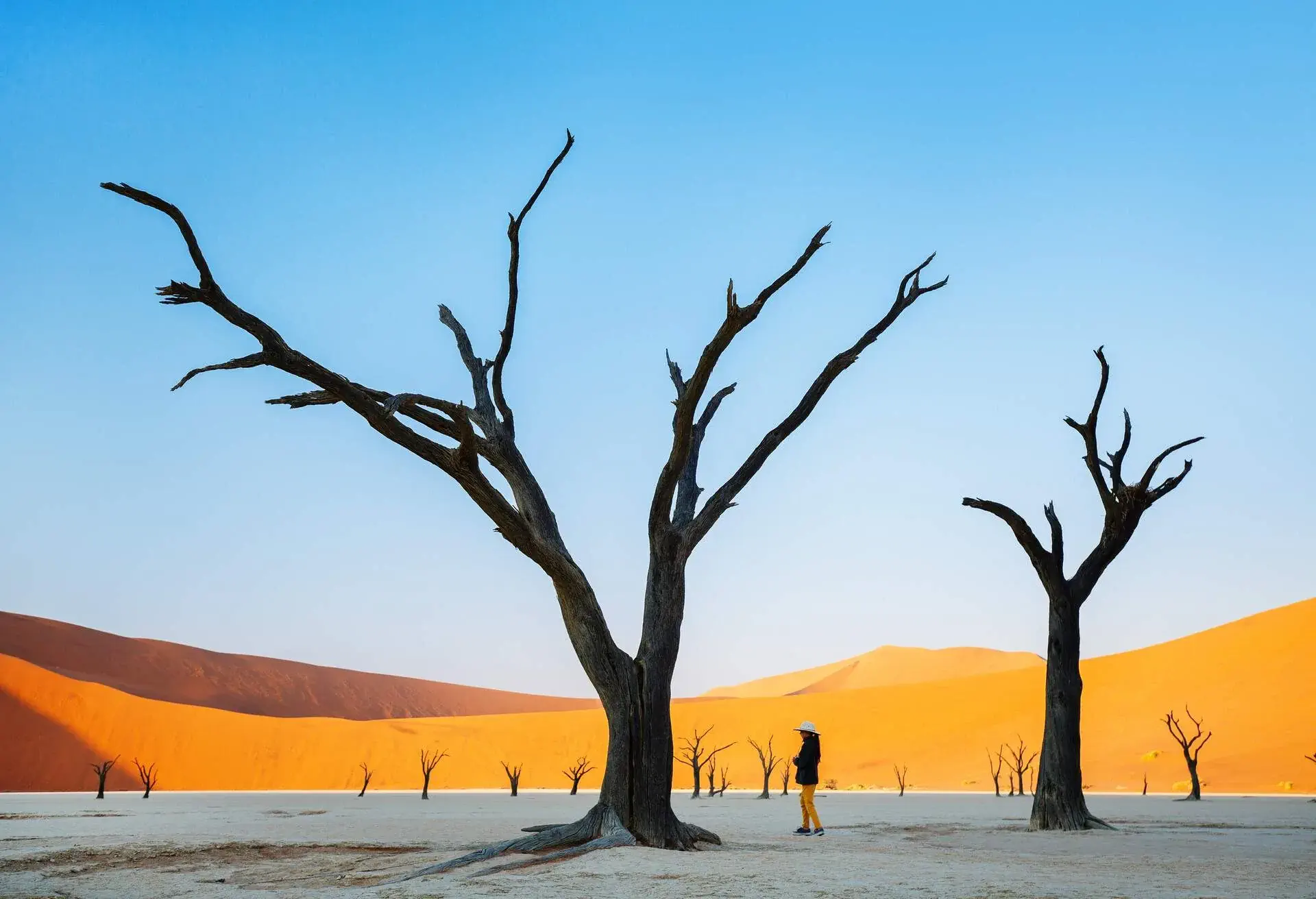 dest_namibia_deadvlei_shutterstock_1458153791_universal_within