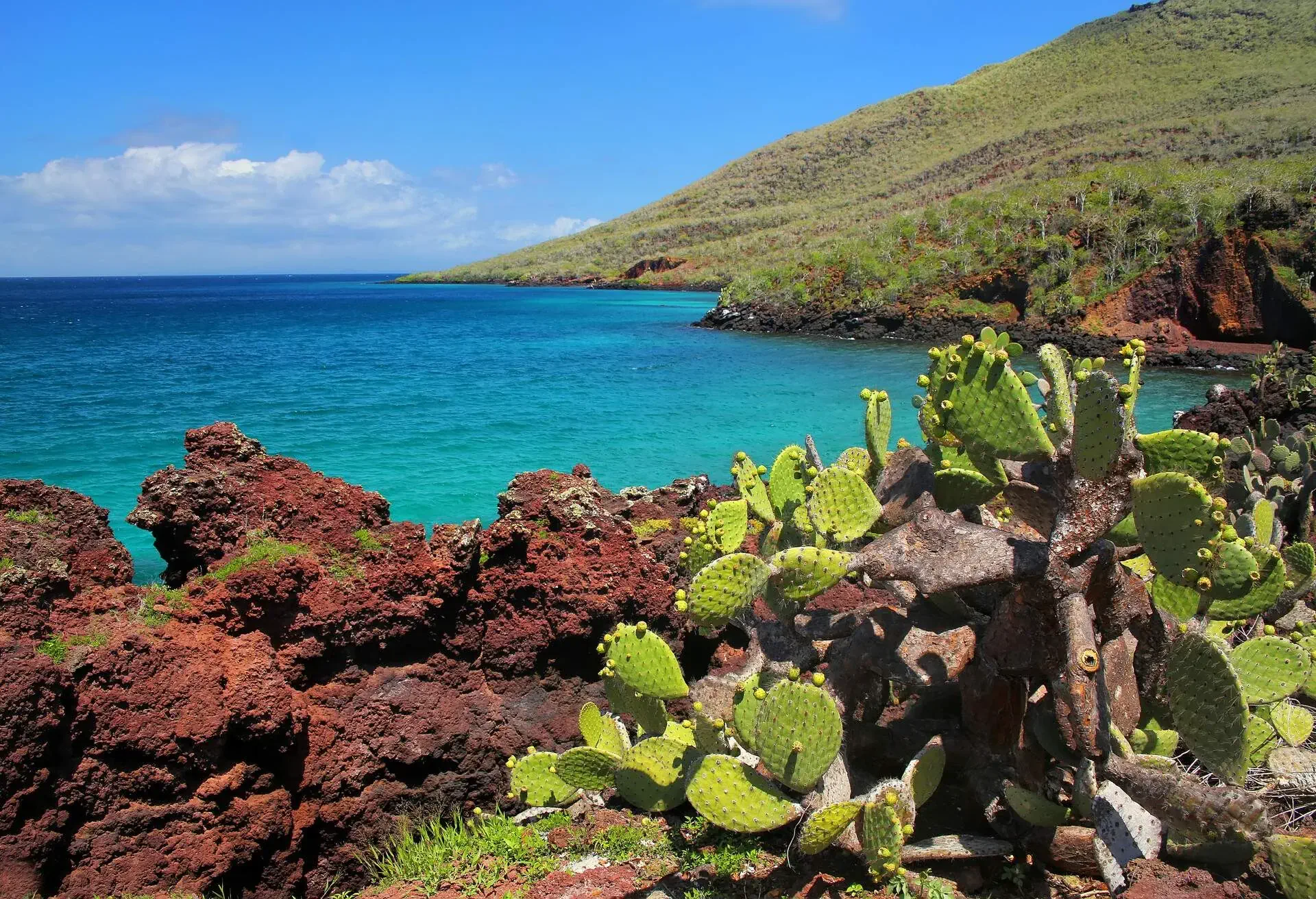 ECUADOR_GALAPAGOS_ISLANDS_NATIONAL_PARK_RABIDA-ISLAND