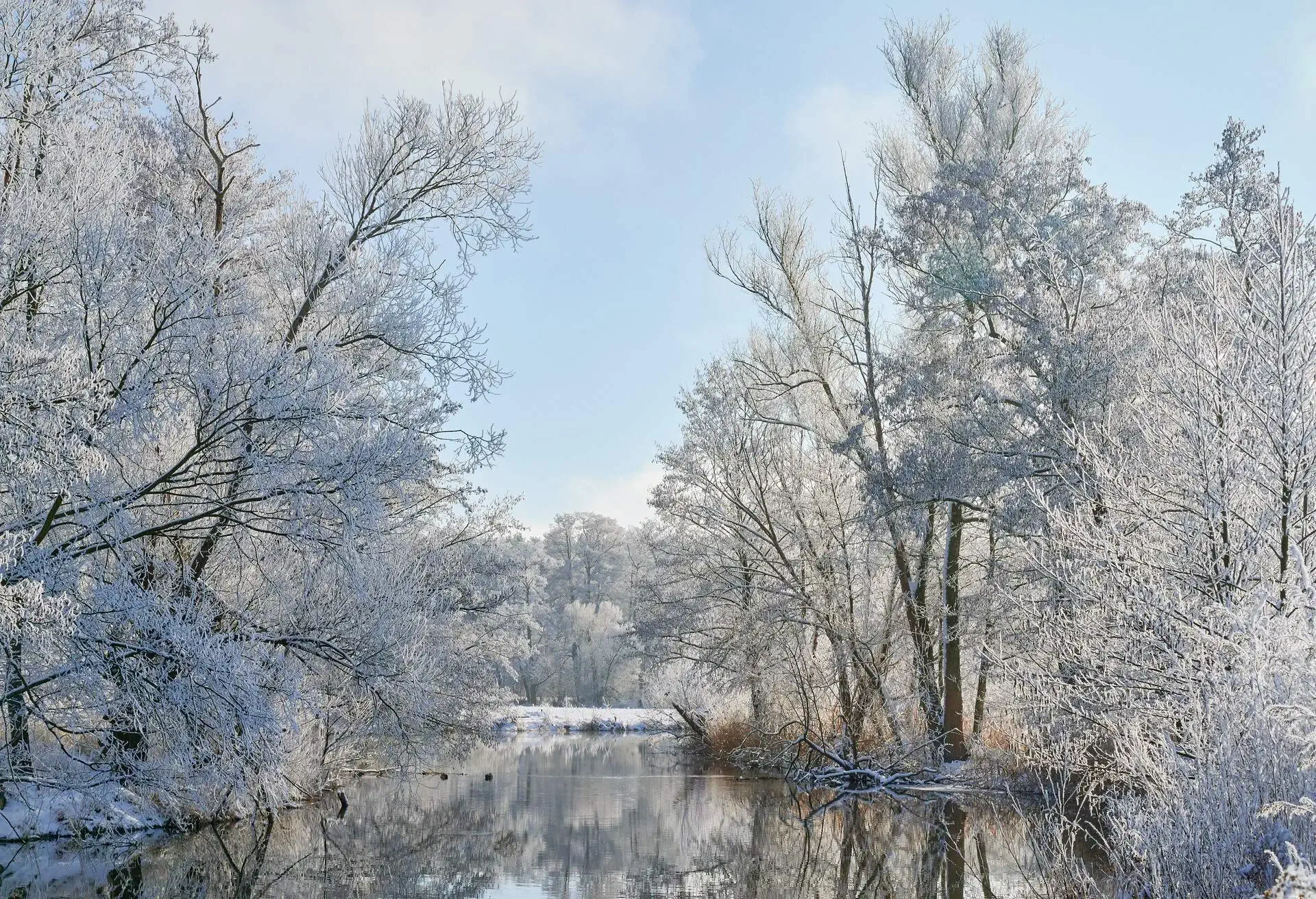 Beautiful and exceptional winter scene at the river Spree with white trees covered in hoarfrost