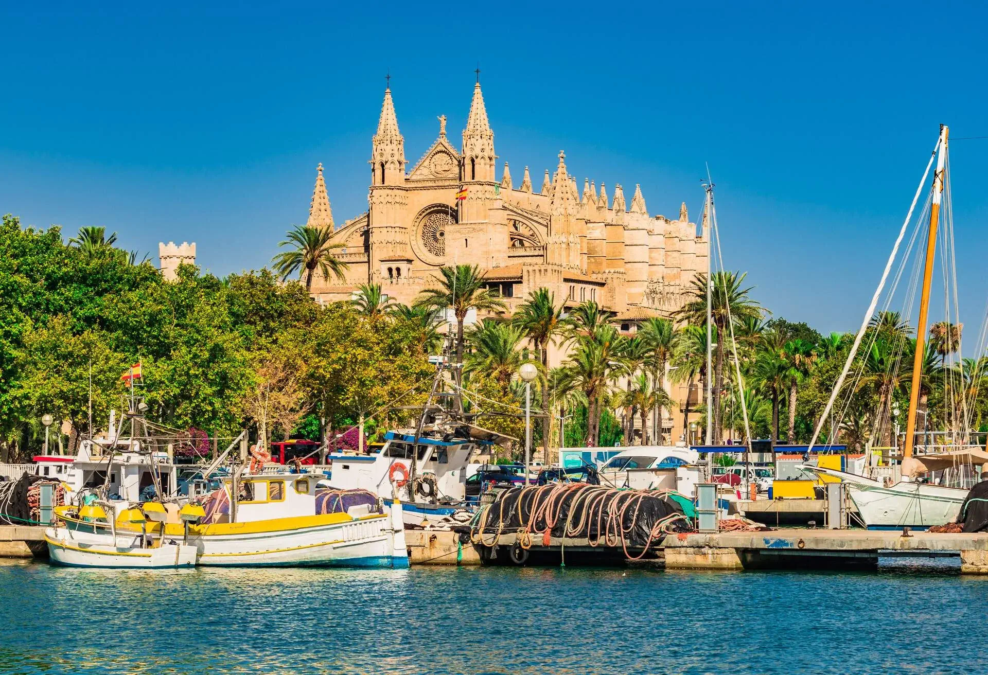 Idyllic view of Cathedral La Seu and port in Palma de Mallorca, Spain Balearic Islands