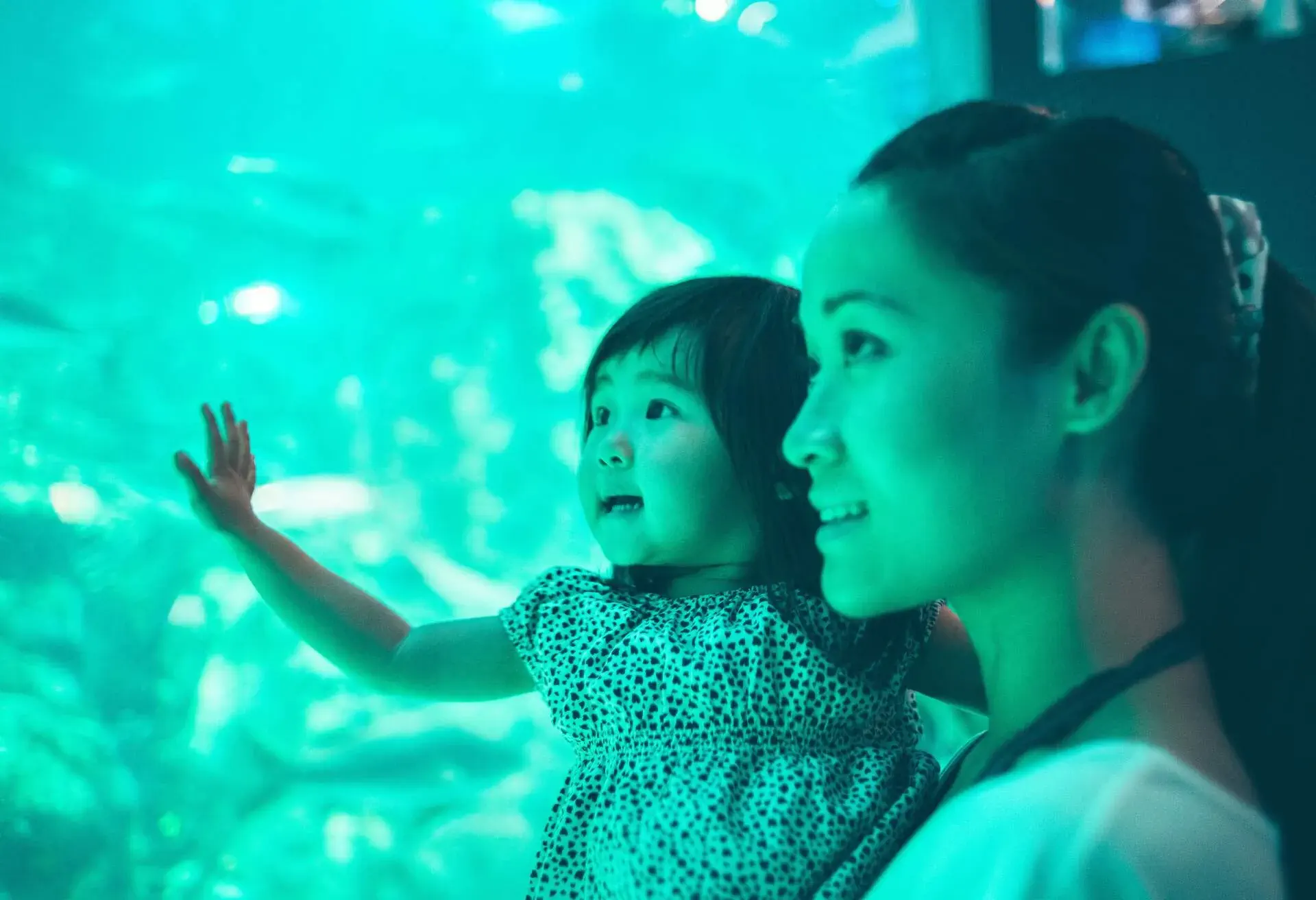 THEME_PEOPLE_KID_GIRL_WOMAN_AQUARIUM_GettyImages-175922200