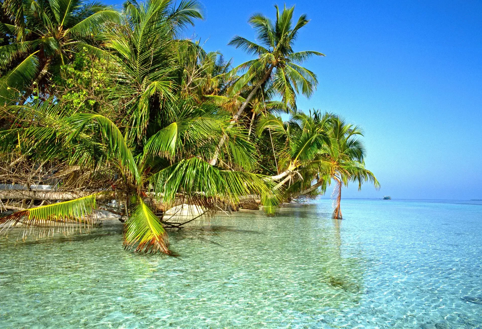 DEST_MALDIVES_NORTH-MALE-ATOLL_MAKUNUGHOO_BEACH_GettyImages-82133548