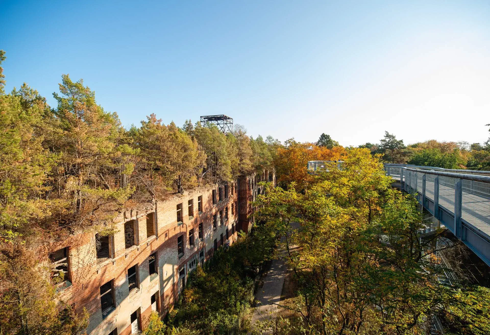 DEST_GERMANY_BERLIN_TREETOP_BEELITZ_BRANDENBURG_NATURE_PARK_shutterstock-portfolio-1562406235