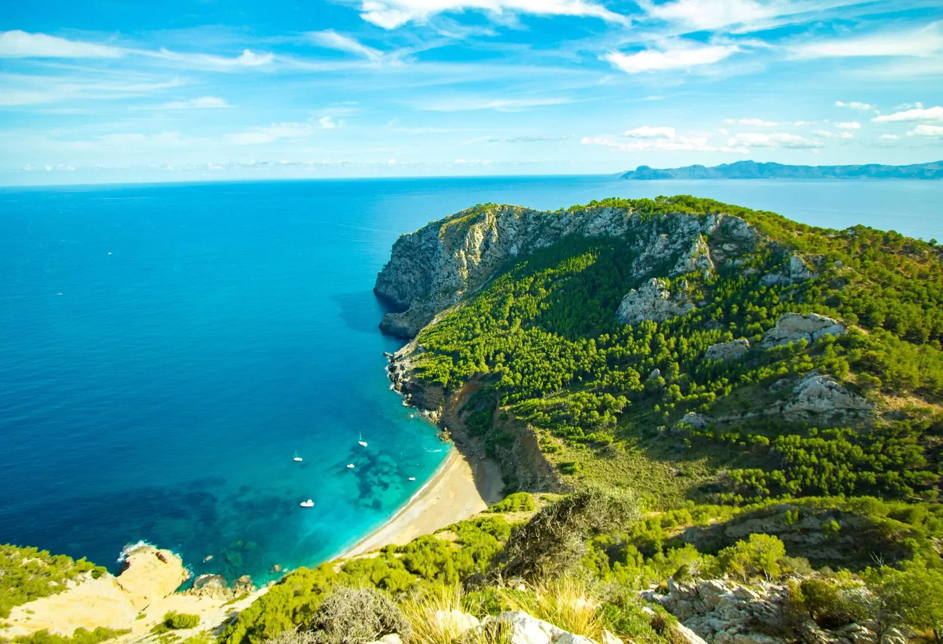 DEST_SPAIN_MALLORCA_PLAGE_DES_COLL_BAIX_BEACH_GettyImages-614981286