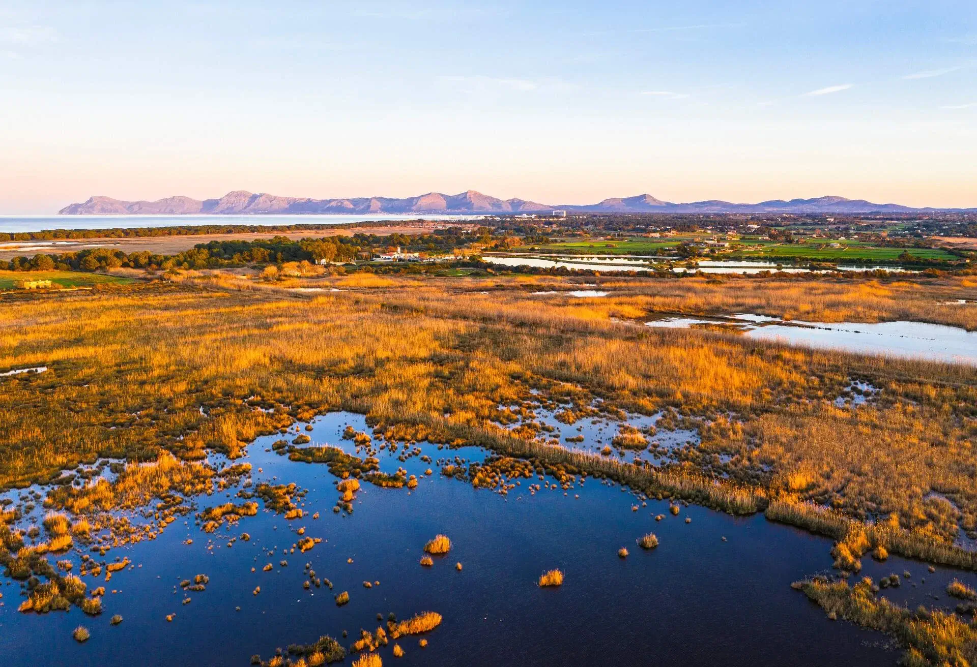 DEST_SPAIN_MALLORCA_PARC_Natural de_s'Albufera_ de_ MallorcaGettyImages-1223868014