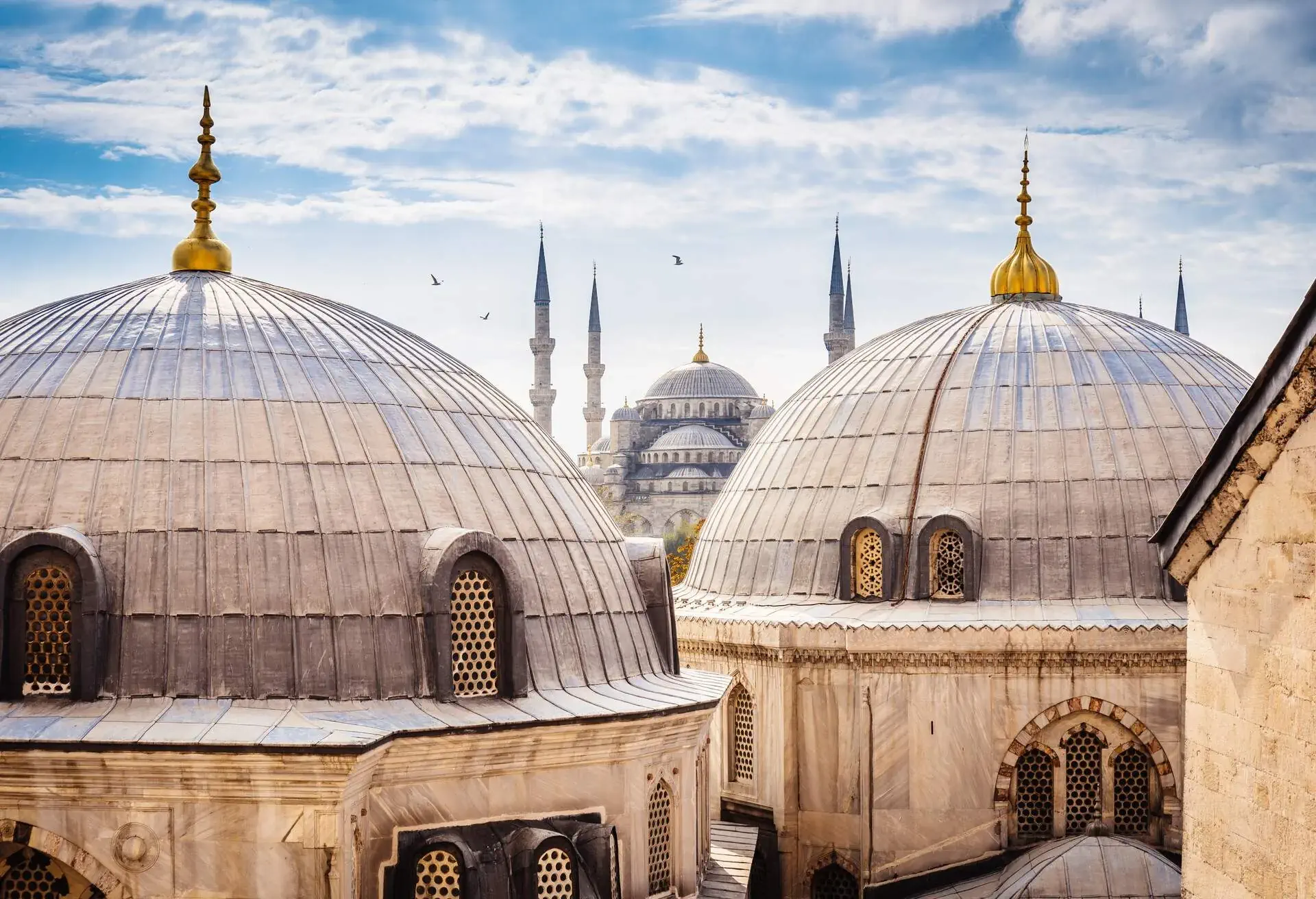 Blue Mosque And Aya Sofya, Istanbul