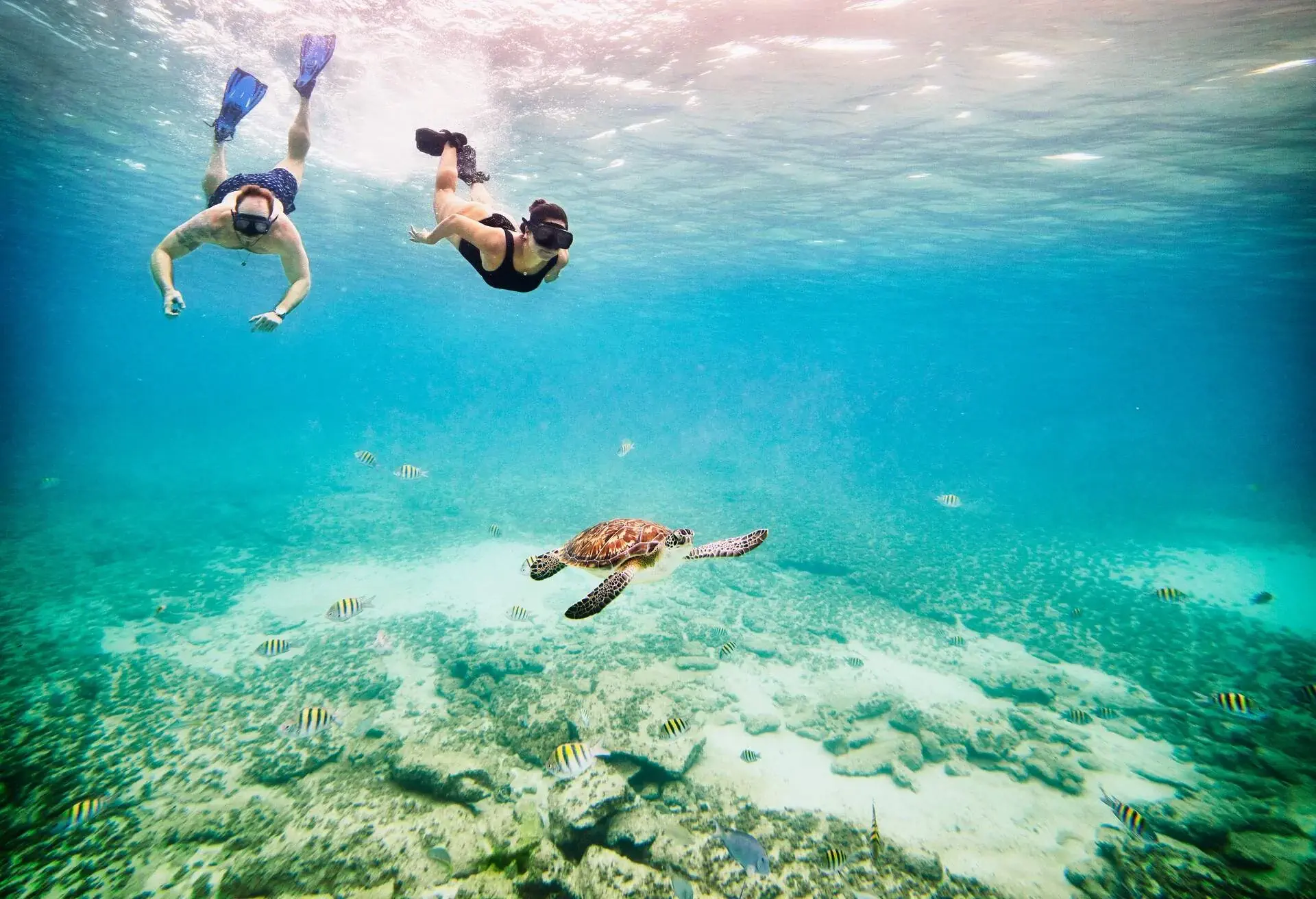DEST_MEXICO_QUINTANA-ROO_COUPLE_SNORKELING-TURTLE_GettyImages-1369222099