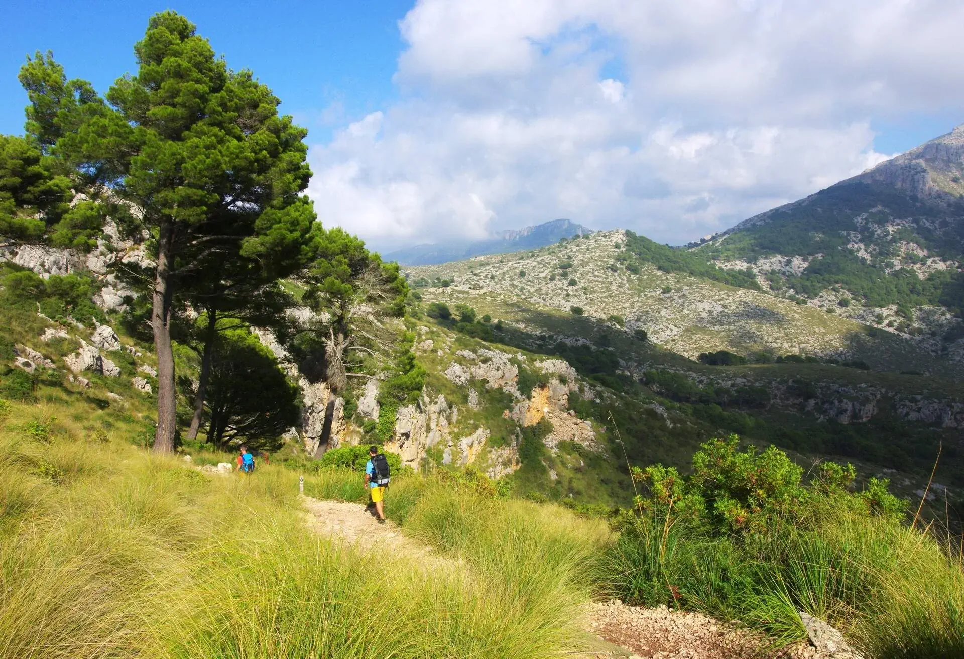 DEST_SPAIN_MALLORCA_GR 221_TRAIL_THEME_HIKING_GettyImages-1438328659
