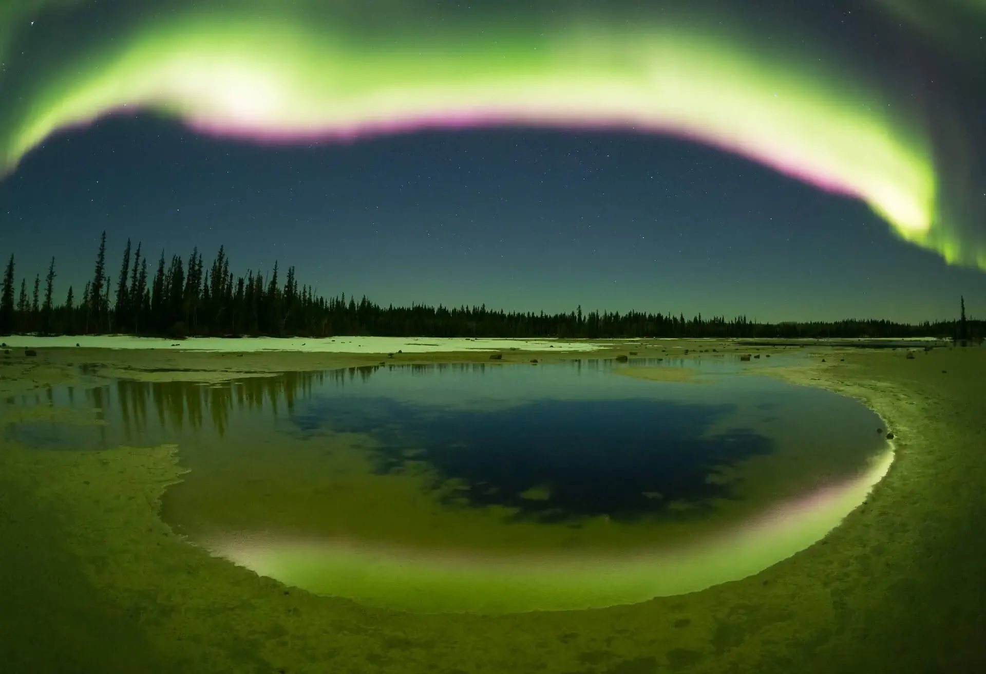 DEST_CANADA_ALBERTA_WOOD_BUFFALO_NATIONAL_PARK_GettyImages-1144181857