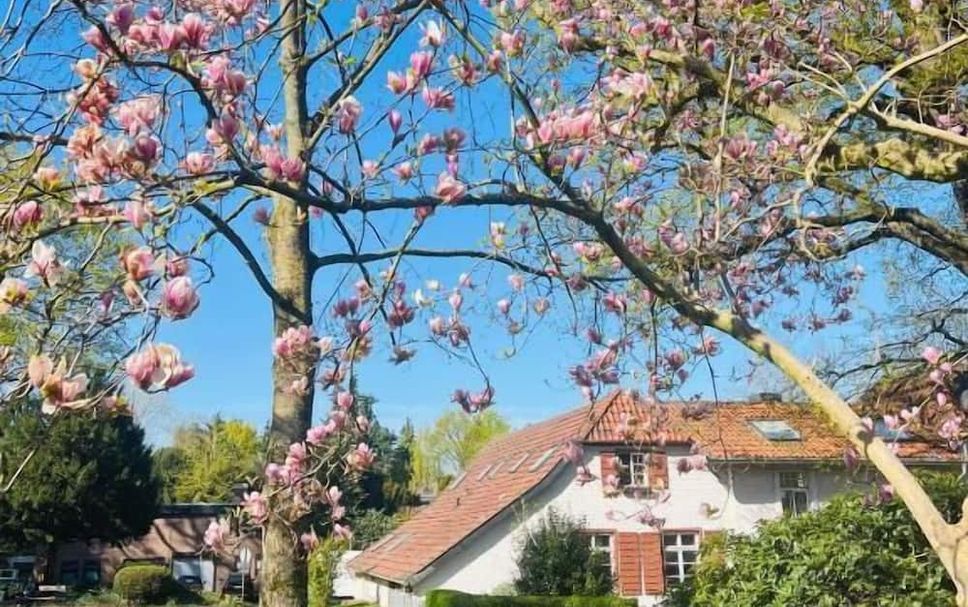 Außenansicht Foto