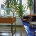 Sonstige