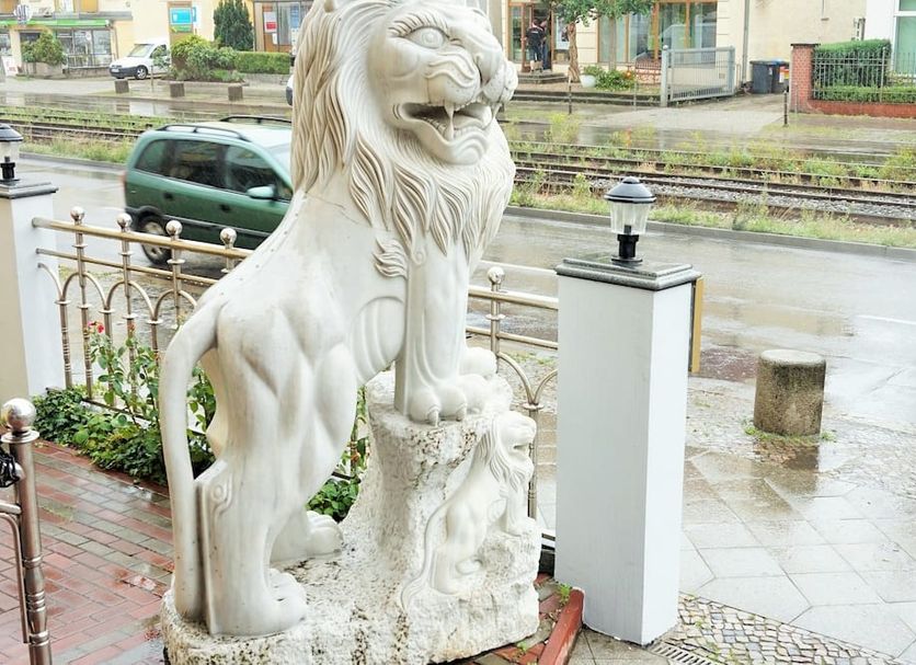 Sonstige Foto