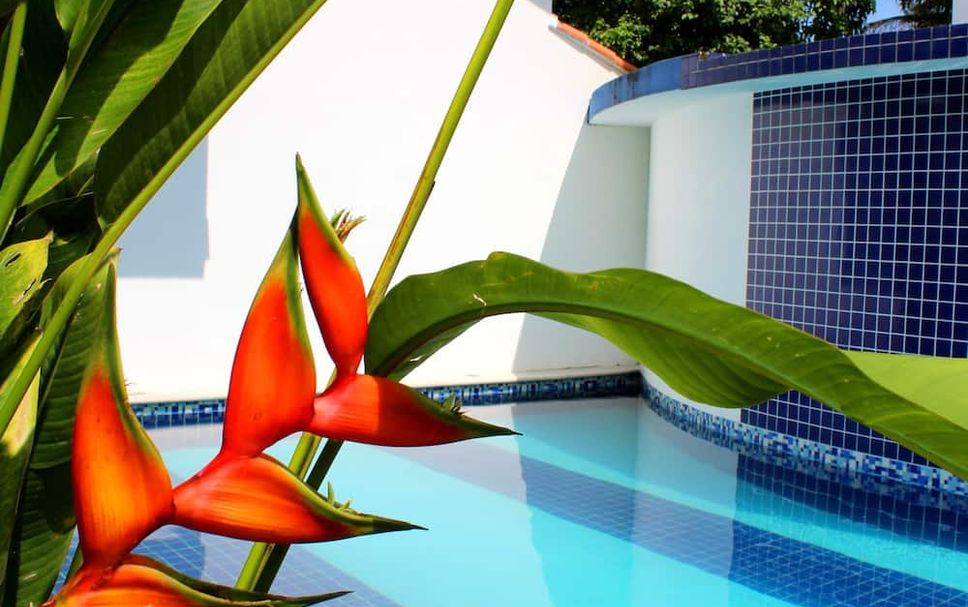 Pool Foto
