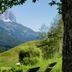 Sonstige