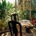Sonstige