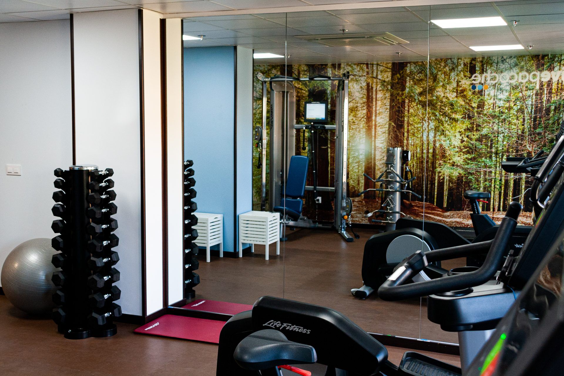 Fitnessbereich
